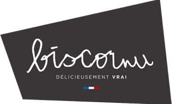biscornu